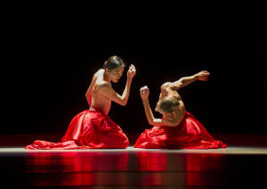Den Norske Opera & Ballett 2014