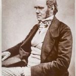 Darwin