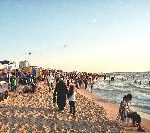 gaza_strand