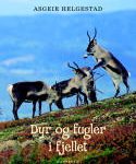 helgestad_dyrFuglerFjellet