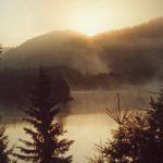 Østmarka langt der bortafor : spennende og mystisk, foto: Kulturspeilet