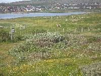 Vadsø