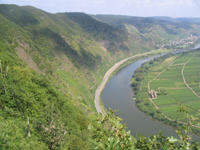 Natur og landskap melder seg på i Schumanns verk, her fra Mosel-dalen