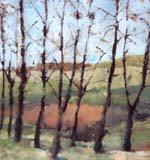 Allée d'arbres 1998