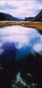 McAlinden: Dragsug
