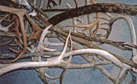 Iver Jáks: En I og II (2002, detalj)