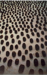 Mee Ping Leung: Memorize the Future (1999-2000)