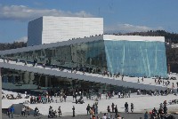 Et fuglefjell