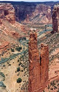 Fra Arizona