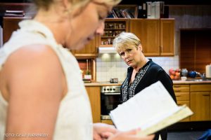 Vrede, Centralteatret, Oslo Nye Teater, 2016. Av Joanna Murray-Smith. Oversatt av Anders T. Andersen. Regi: Anders T. Andersen. Scenografi og kostymer: Erlend Birkeland. Lysdesign: Anders Busch. Lyd: Bjørn O. Undset. Masker: Birgit Haugå. Dramaturg: Siri Løkholm Ramberg.